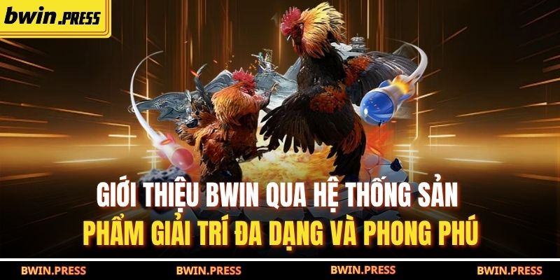 Giới Thiệu BWIN 2 Giới thiệu BWIN qua hệ thống sản phẩm giải trí đa dạng và phong phú