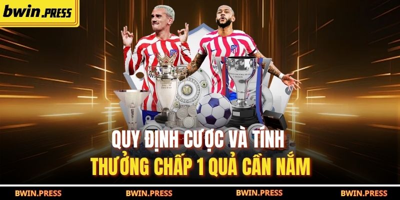 Kèo Chấp 1 Trái Là Gì? Cách Đọc Và Soi Kèo Chấp 1 Quả 3 Quy định cược và tính thưởng chấp 1 quả cần nắm